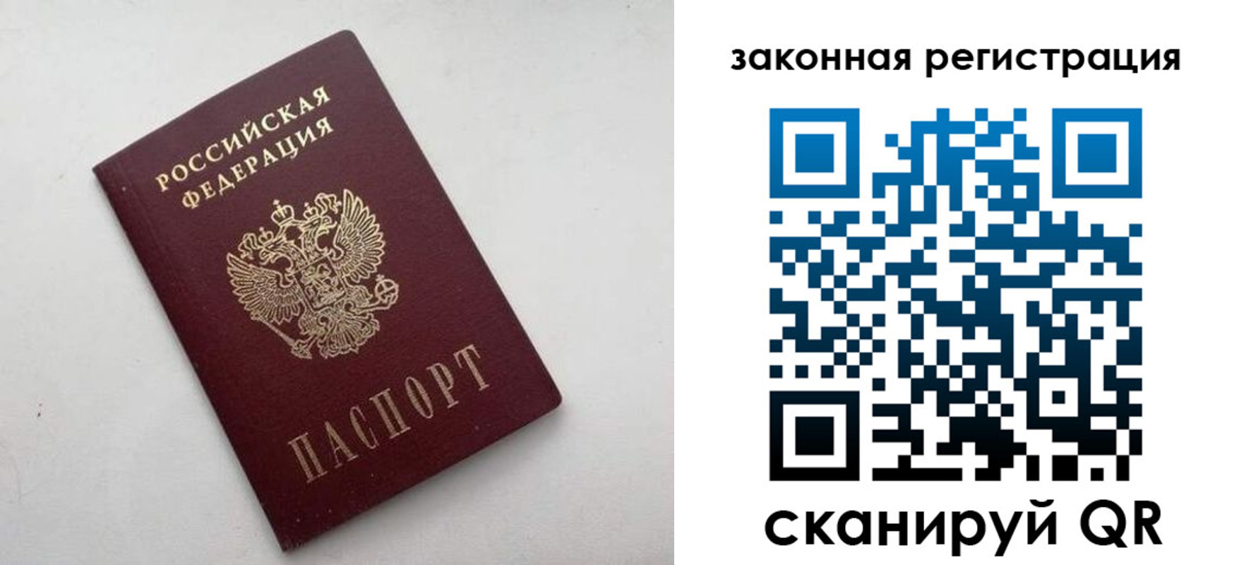 прописка 2025 в Димитровграде